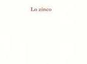 Maurizio Landini voce dell’assenza: appunti zinco” Marco Saya Edizioni