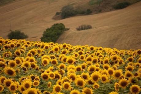 Umbria