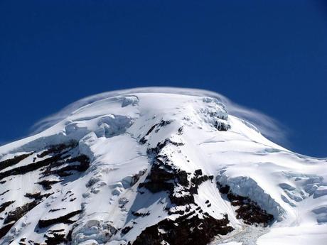 SOVRABBONDANTI NEVICATE ABBATTONO CENTINAIA DI ALBERI SUL MONTE BAKER