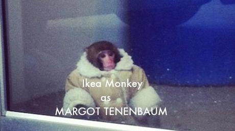 Fashion Memes Fashion Memes