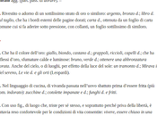 Indorati fritti