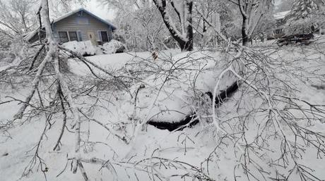 TEMPESTA DI NEVE CAUSA 7 MORTI IN USA