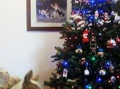 luci Natale.