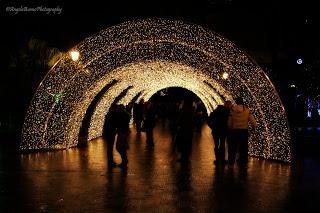 Tutta mia la città!