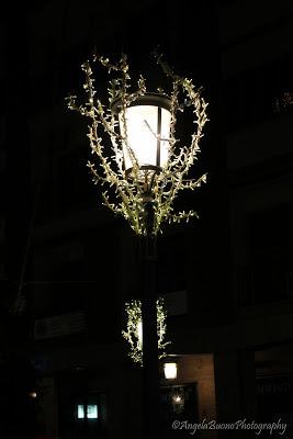 Tutta mia la città!