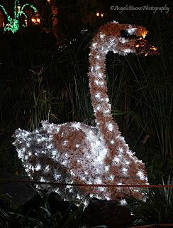 Tutta mia la città!