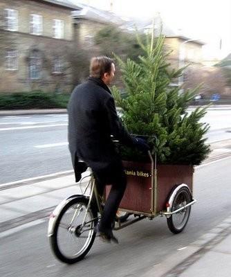 Creative Christams trees romantic boy