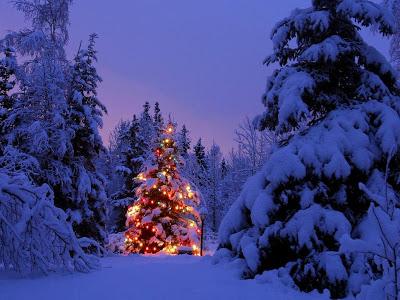 Buon Natale a tutti voi. Serenità, allegria e un po' di ottimismo contro la solitudine e la cattiveria.