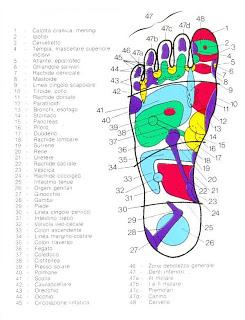 SEMINARIO INTRODUTTIVO SULLA RIFLESSOLOGIA PLANTARE