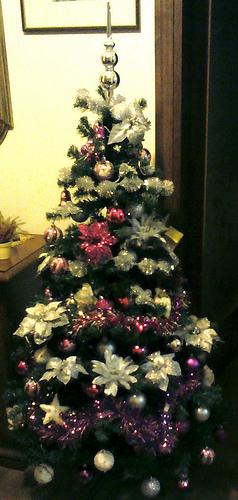 albero