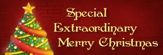Extraordinary Merry Christmas and Happy New Year!
