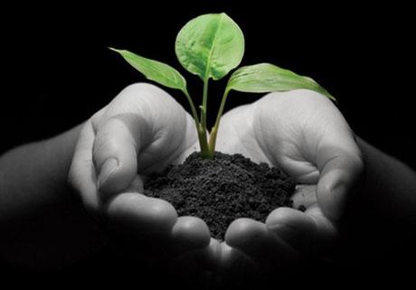 Povero,sporco,puzzolente…