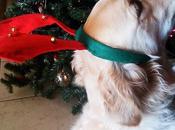 Jolly Christmas.