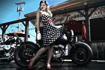 Dino Petrocelli pin-ip files