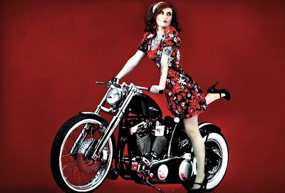 Dino Petrocelli pin-ip files