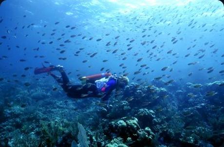 canouan st-vincent-and-the-grenadines-scuba-diving