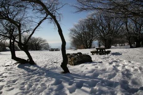 Liguria inverno