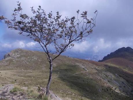 Liguria Parco del Beigua