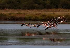 Corsa contro il tempo (Messaggio in bottiglia 9^ puntata)