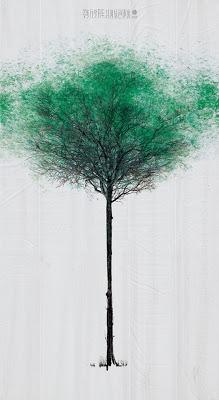 Green Pedestrian Crossing _ Jody Xiong