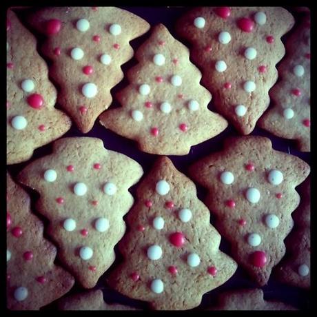 BISCOTTINI DI NATALE [pan di zenzero e frolla alle mandorle]