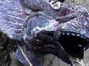 Testa dinosauro ceratopside raffigurata tempio indù 1815?