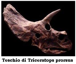 Testa di dinosauro ceratopside raffigurata in un tempio indù del 1815?