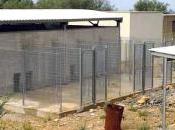 Terrasini, Assegnati lavori completamento canile municipale