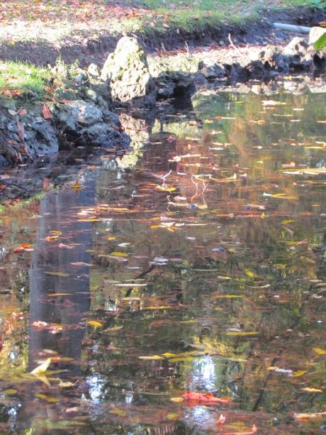 La ricaduta: Milano, il Parco Sempione e il Centro Sociale Leoncavallo