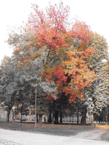 La ricaduta: Milano, il Parco Sempione e il Centro Sociale Leoncavallo