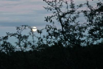 della luna di queste sere