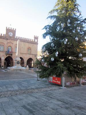 Una parcella sotto l'albero