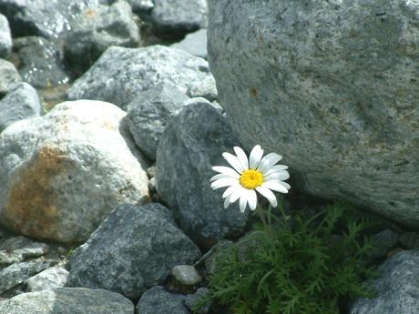 Rinascere ogni giorno..amando la vita