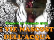 S-TEAM: Nascoste dellAcqua 2013 Vicenza