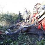 Roma: Salvataggio cavallo nel fiume Aniene08