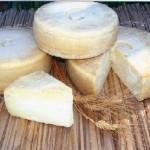 Dalla Sardegna arriva il formaggio pecorino… anti colesterolo