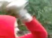Video violenza sugli animali, ragazza getta cuccioli fiume