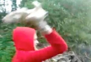 Video di violenza sugli animali, ragazza getta cuccioli in un fiume