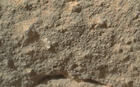 Il mistero del “fiore marziano” fotografato da Curiosity