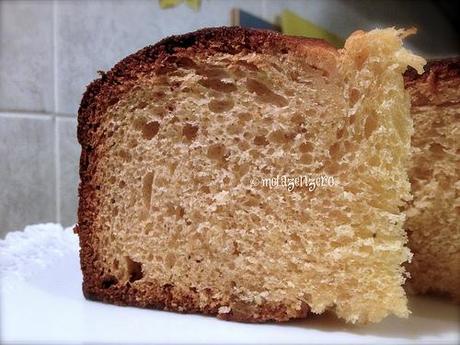 Panettone a lievitazione mista