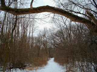 Bachelor's Grove: il cimitero più infestato al mondo