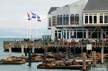 San Francisco bay, pass Pier 39...