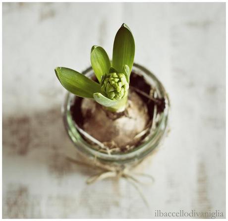 Ma è già primavera?