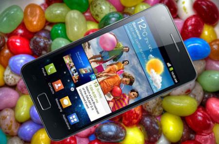 samsung galaxy s2 jelly-bean