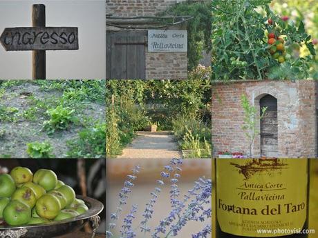 Antica Corte Pallavicina: un relais di campagna