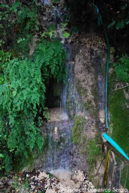 TREKKING - La Valle dei Mulini a Vico del Gargano