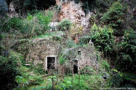 TREKKING - La Valle dei Mulini a Vico del Gargano