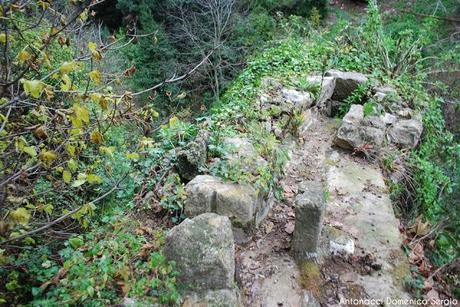 TREKKING - La Valle dei Mulini a Vico del Gargano