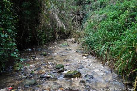 TREKKING - La Valle dei Mulini a Vico del Gargano