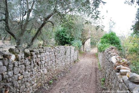 TREKKING - La Valle dei Mulini a Vico del Gargano